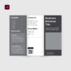 Brochure-Template-InDesign-Outside Tri-Fold Brochure Template for InDesign
