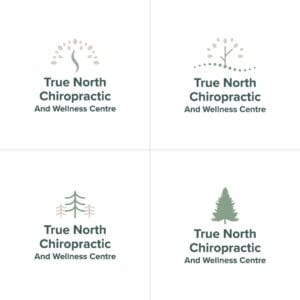 True North Chiropractic Logo Variations 1