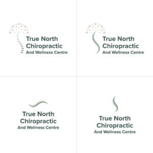 True North Chiropractic Logo Variations 2